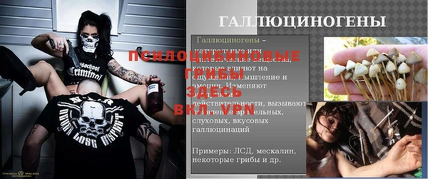 стаф Алексеевка