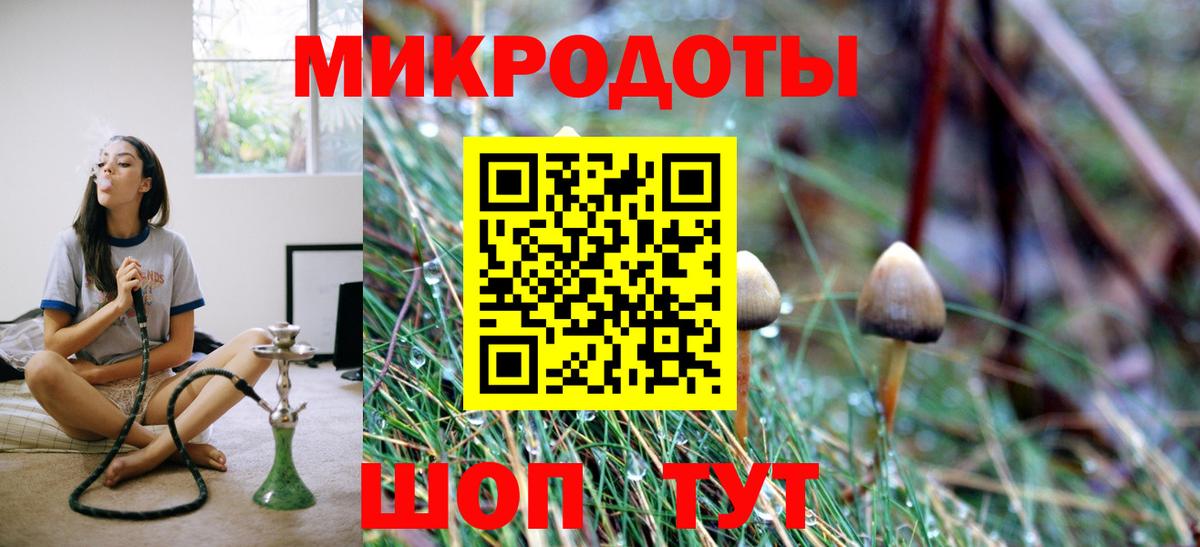 Ставрополь  Галлюциногенные грибы ЛСД  Псилоцибиновые грибы ЛСД  Вход с VPN 