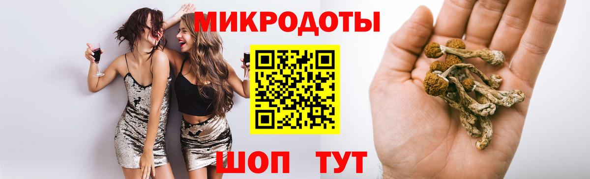 Псилоцибиновые грибы Psilocybine cubensis Ставрополь